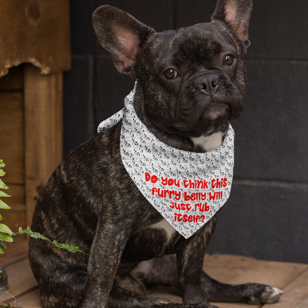 It Wasn't Me Pet Scarf