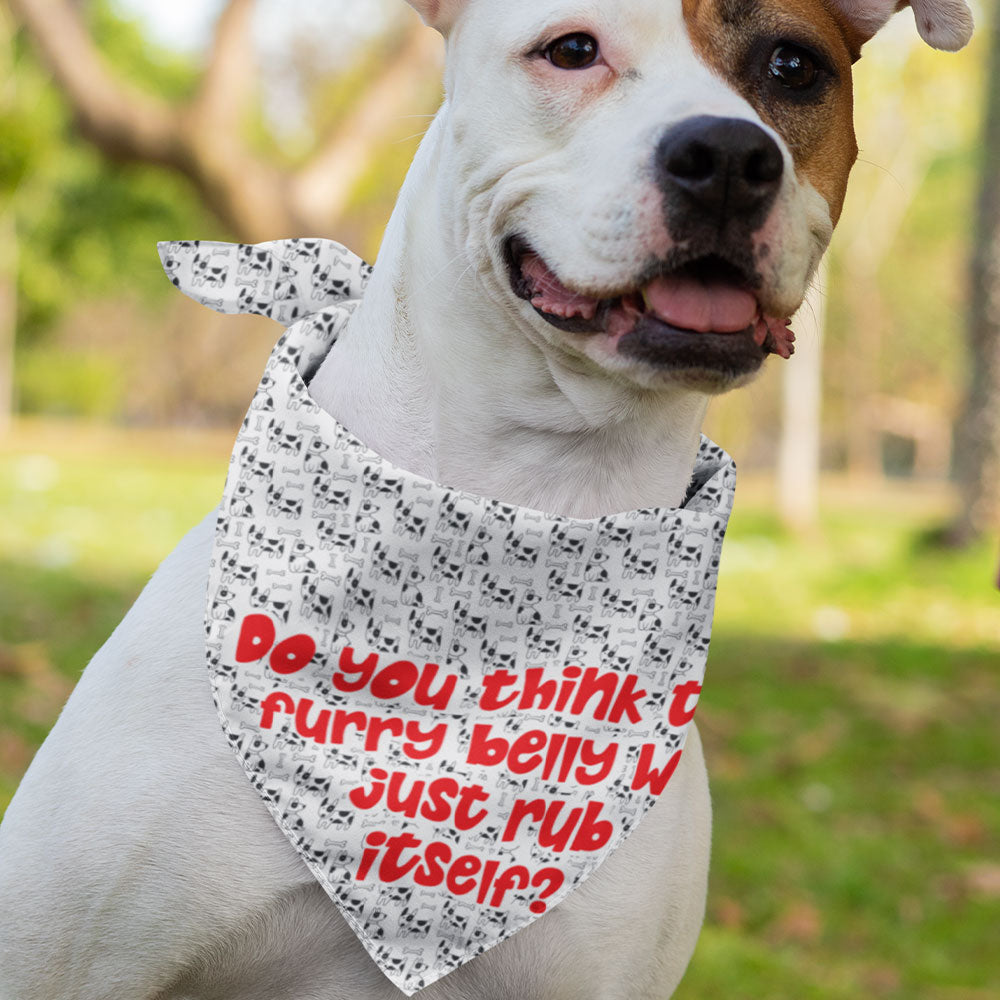 It Wasn't Me Pet Scarf