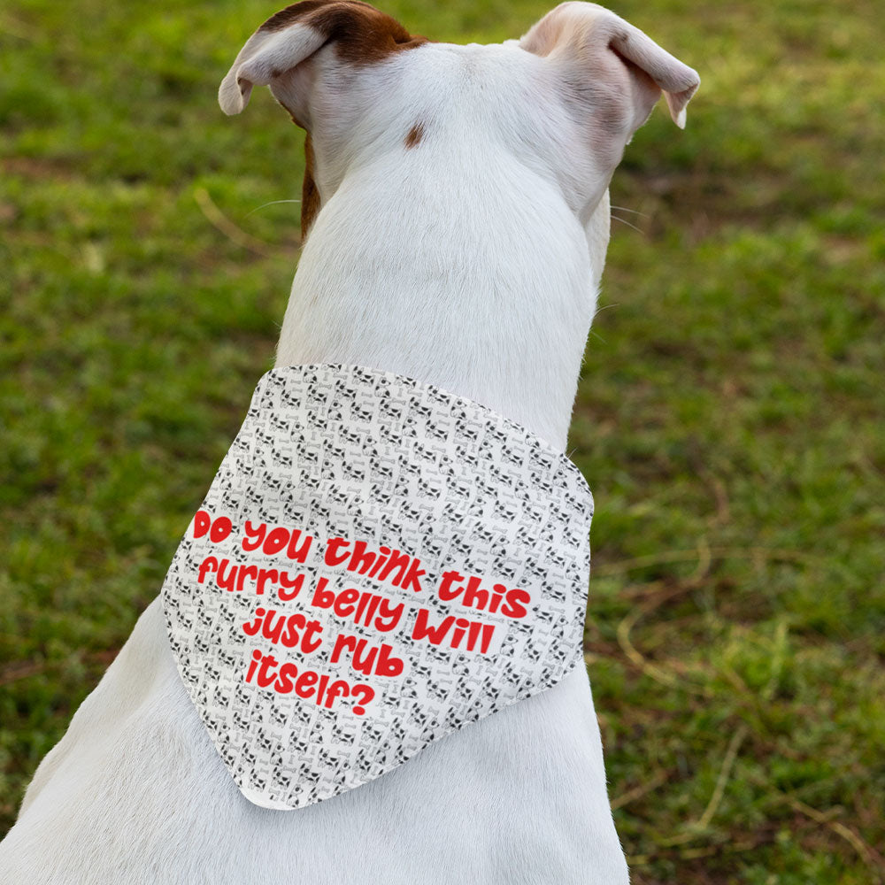 It Wasn't Me Pet Scarf