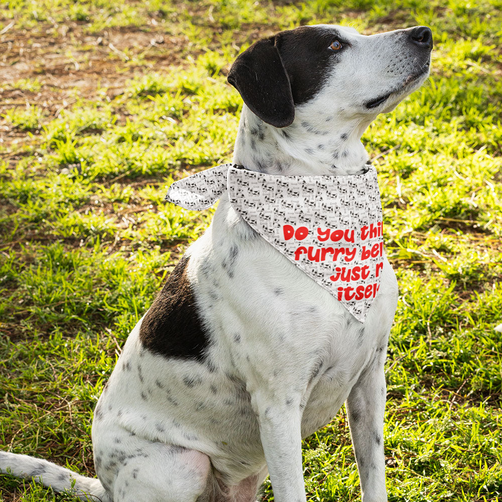 It Wasn't Me Pet Scarf