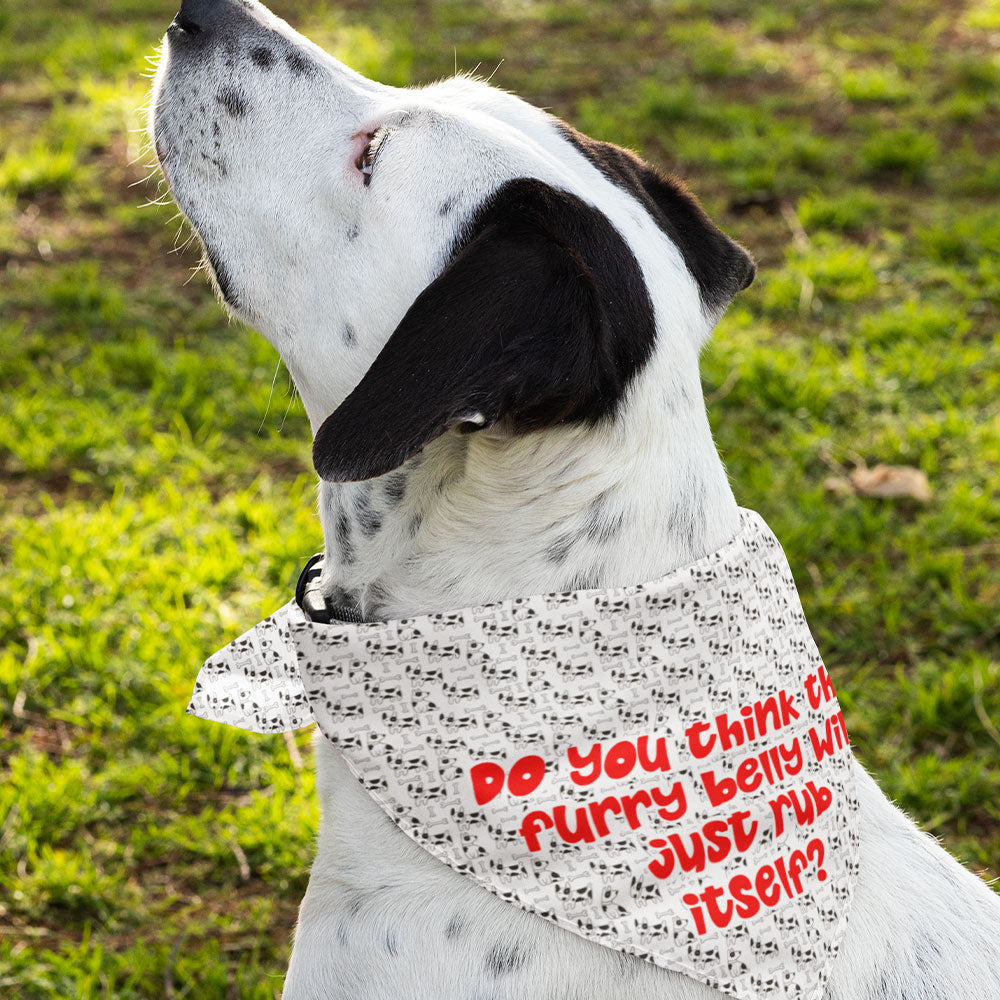 It Wasn't Me Pet Scarf