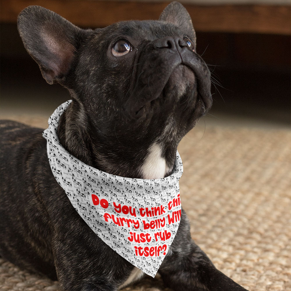 It Wasn't Me Pet Scarf