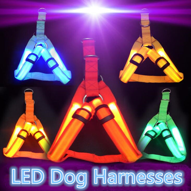 Pet Safety LED Harness Flashing Light